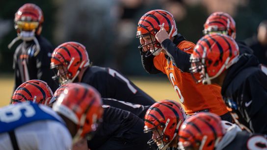 Next opponent: What can Browning do for the Bengals? taken in Forney, Texas (Steelers)